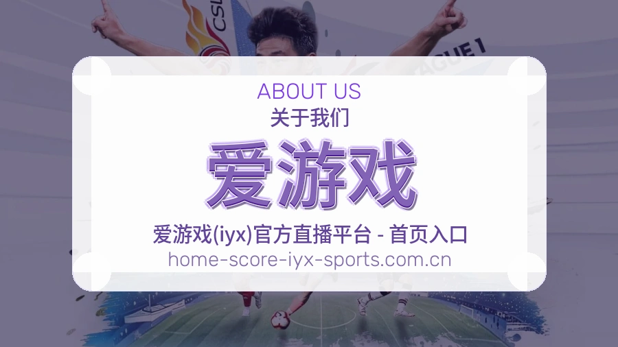 爱游戏服务说明
